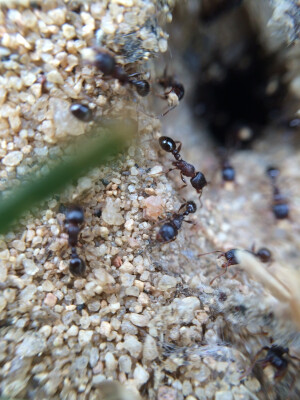 暖人心的小图片