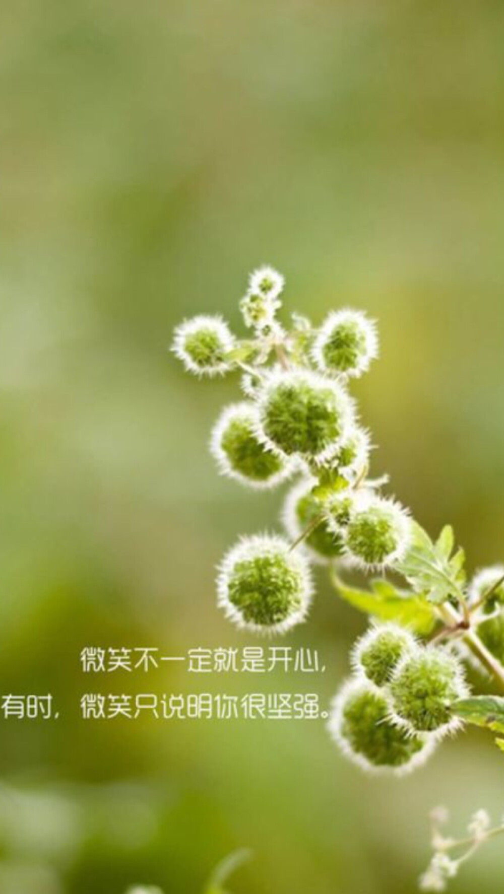 sometimes,it just means youre strong.微笑不一定就是开心.有时.