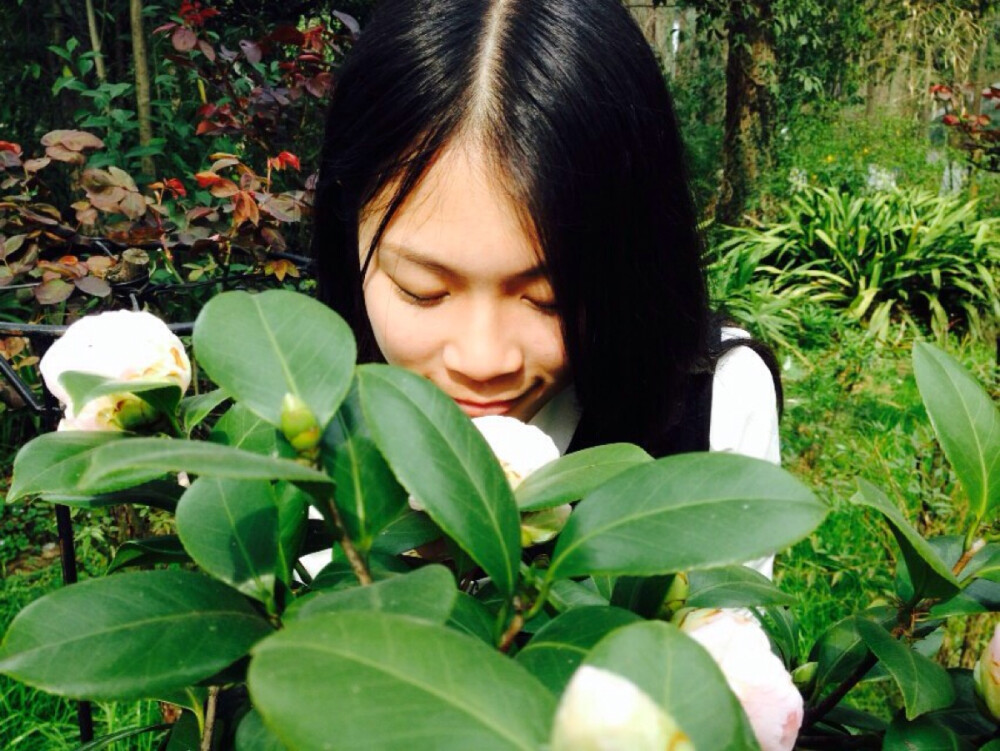 心有猛虎，细嗅蔷薇