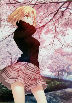 Fate/Zero[命运之夜-零]     动漫     插画     原创     型月十周年纪念画集       金发碧眼    「骑士王」