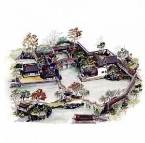 柿树绿阴合,王家庭院宽