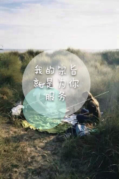 政治情书 壁纸 文字