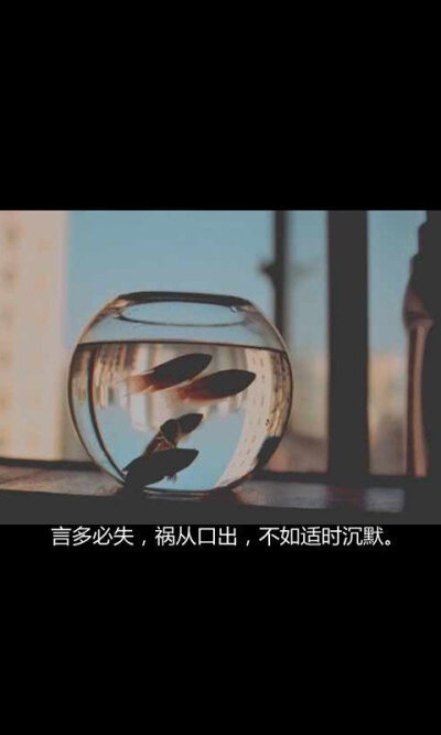 言多必失祸从口出