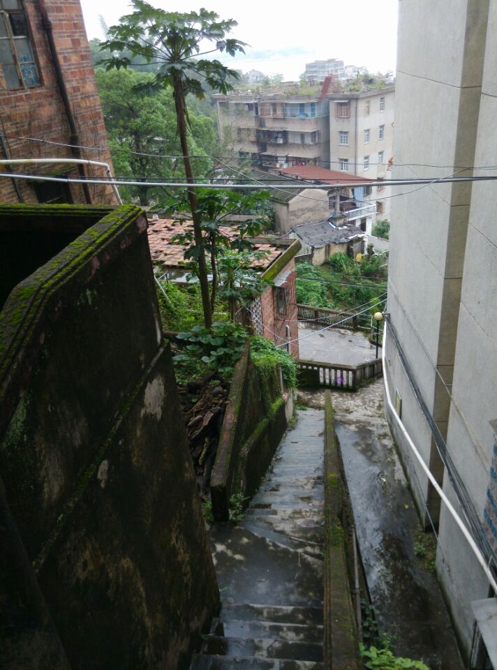 雨后斑驳