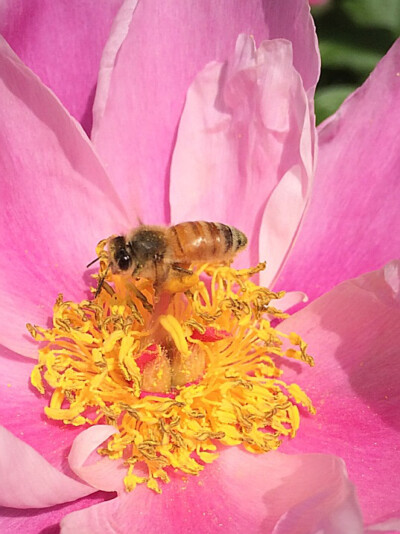 辛苦，收获，等太久会松手