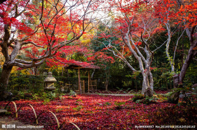 古城红秋色，神社古刹幽。（京都寺庙）