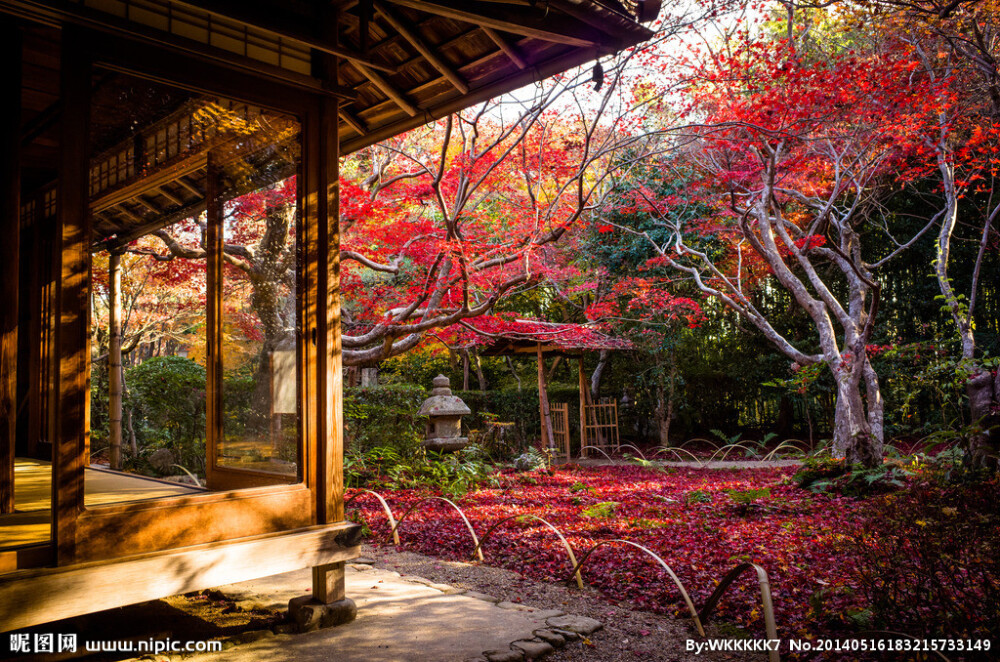 古城红秋色，神社古刹幽。（京都寺庙）