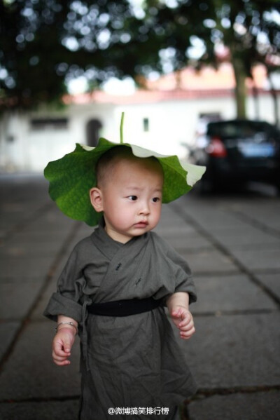 超可爱小和尚，萌到一脸的血了！ (net)