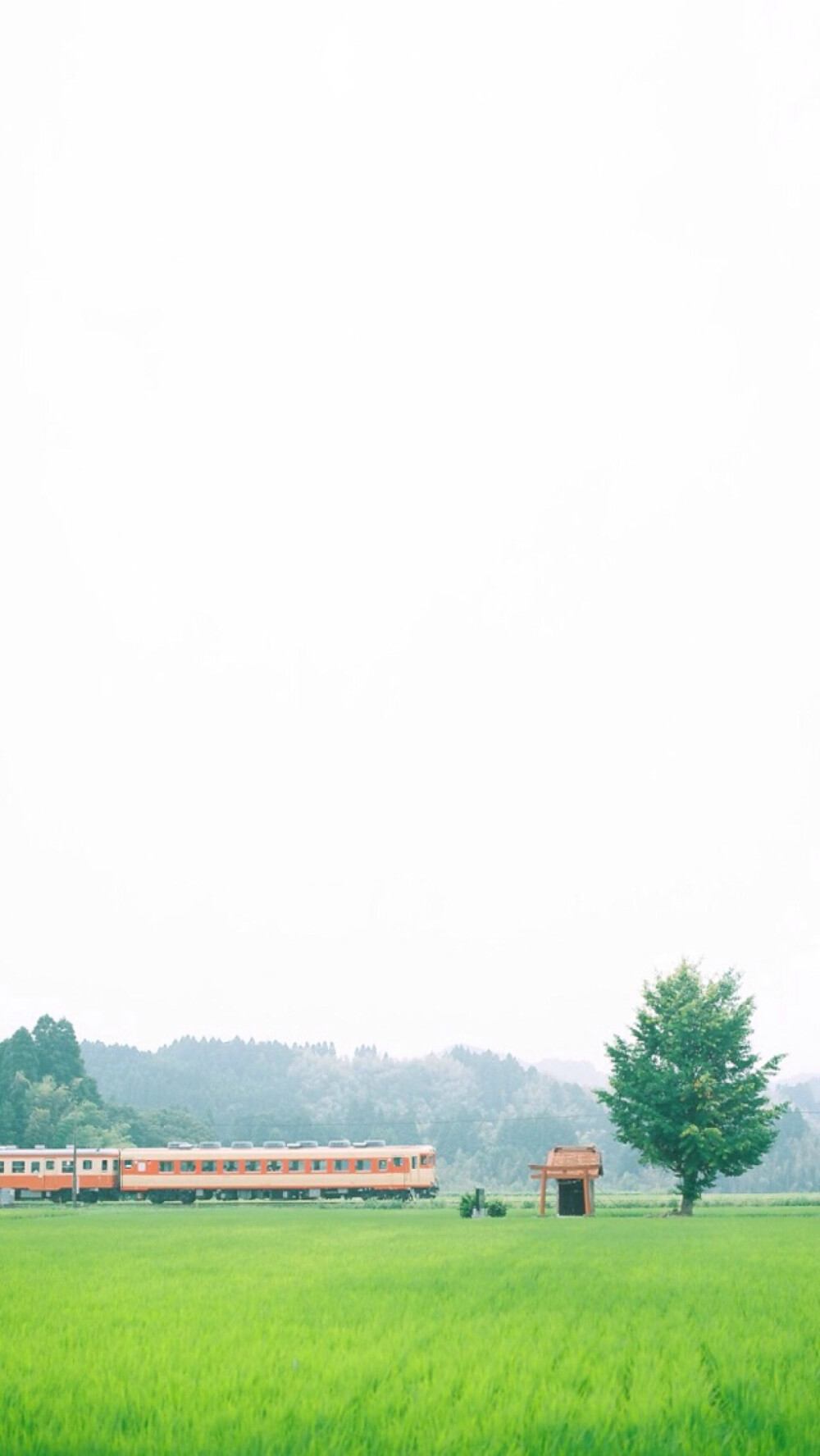 拾光App 壁纸 iPhone 清新 素材 欧美 句子 插画 素材 摄影作品