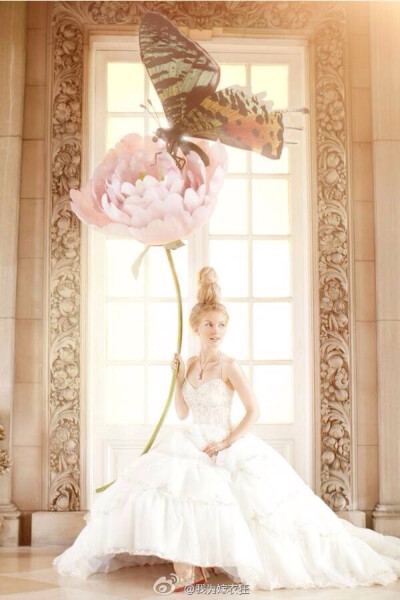 Bridal Fairytale Images via Brides by Amber Gray.