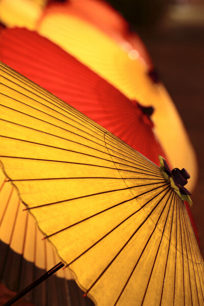 Photograph Light of the umbrella