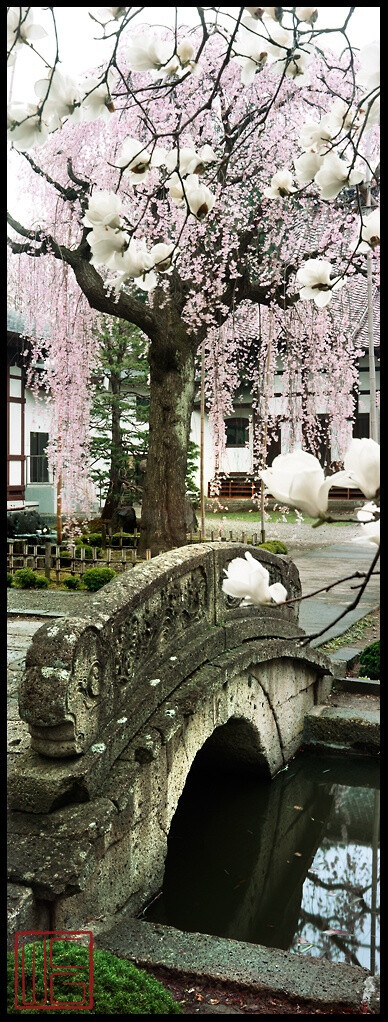 THE GARDENS OF YAMAGATA