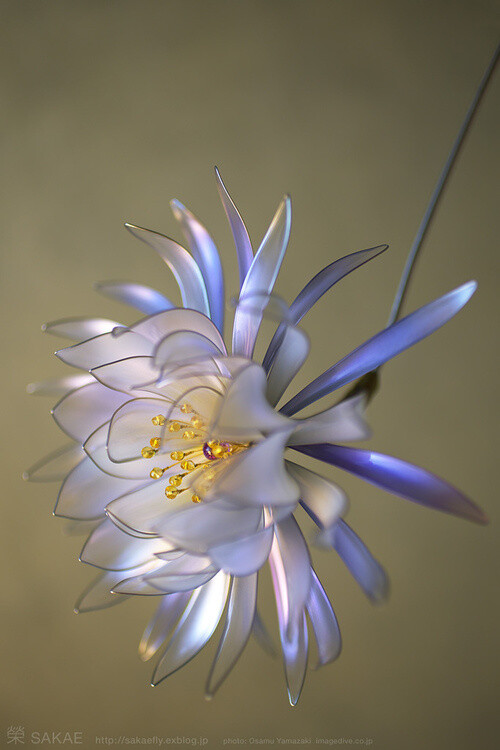 日式发簪设计Beautifully designed traditional Japanese Kanzashi hair ornaments by Sakae