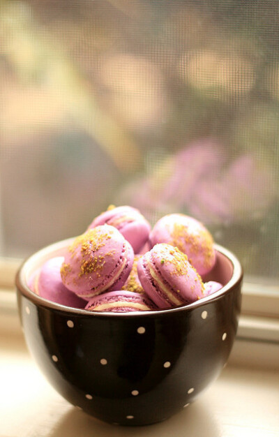 macaron