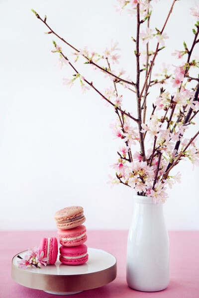 Macarons