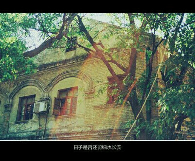 午后宁静而美好！