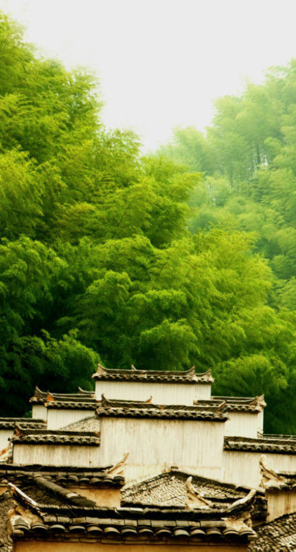 雨过净竹翠，人去院又新。（徽州）