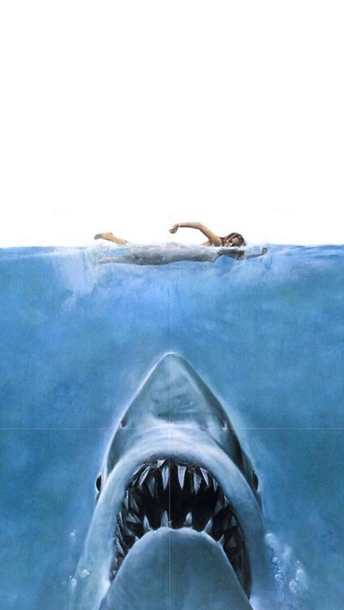 鲨鱼- 高清图片，堆糖，美图壁纸兴趣社区