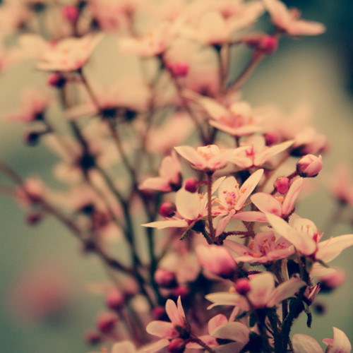 The most special feeling of human is the one-sided love. That's the unique. You would never see a cat loving another cat in secret. 人类的感情最特别的就是单恋，那是绝无仅有的。你绝不会看到一只猫，会偷偷地喜欢上另一只猫。