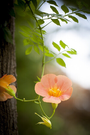 别让人生，输给了心情。心情不是人生的全部，却能左右人生的全部。。控制好心情，生活才会处处祥和。