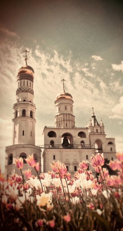 *旅行的风景*手机壁纸*