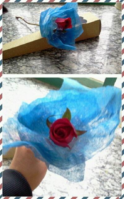 2014-2-24 送过的第一朵花是红玫