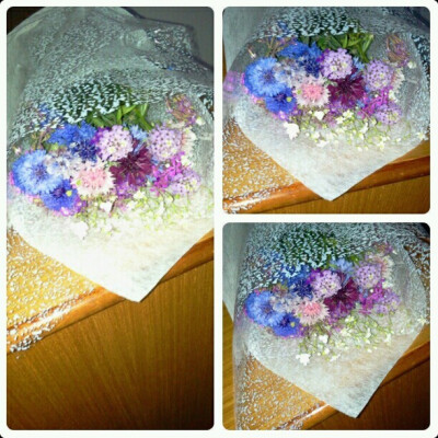 2014-5-8 送过一把不知名的野花，十分漂亮，但图不够好实在可惜