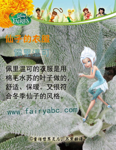 奇妙仙子小叮当的孪生妹妹冬仙子-佩里温可