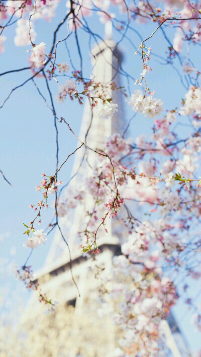 埃菲尔