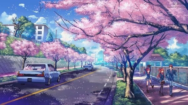 二次元 动漫 场景 风景 唯美 人物 小清新 P站 樱花 壁纸