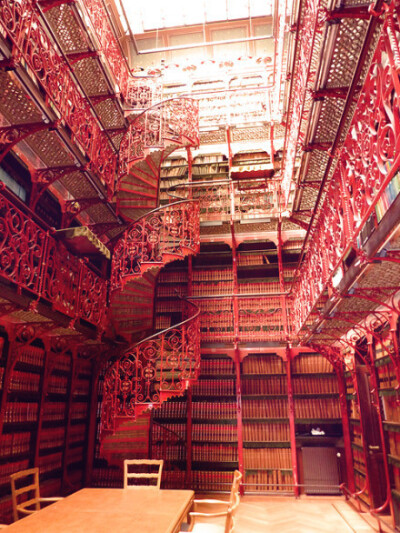 荷兰海牙老图书馆，美得让人心醉，堪称经典。