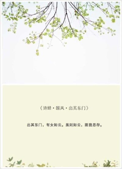 诗经•国风