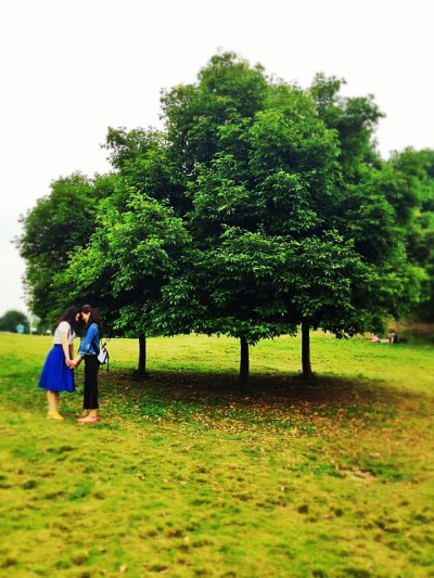 秋秋&amp;amp;me