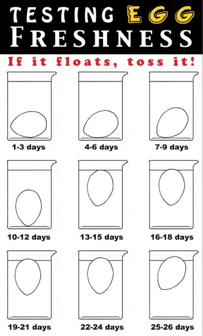 3. Egg Freshness Test I eat too many eggs for them to ever go bad, but this sure is good to know. I got so excited when I saw this, I dug into my fridge to test it for myself. My eggs seemed to be 4-6…