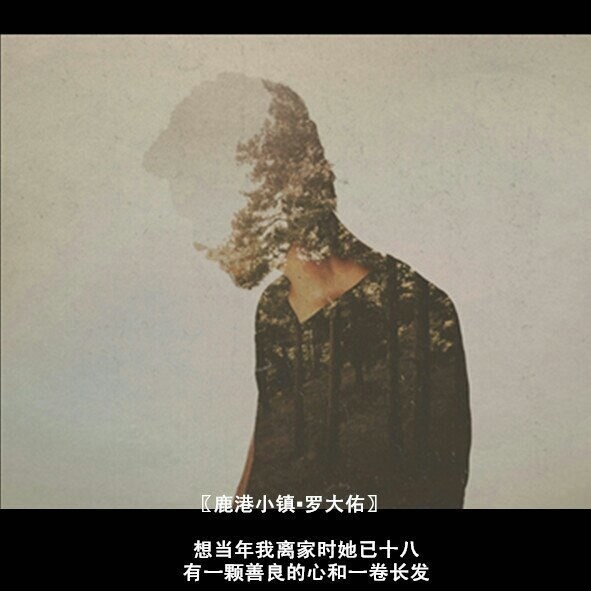 因为歌词爱上一首歌