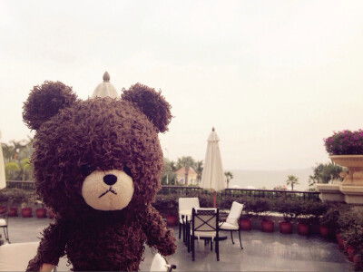 Little Bear in SY