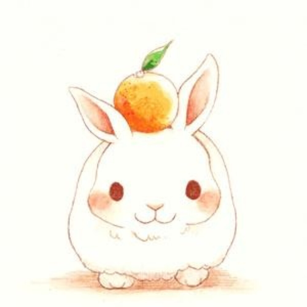 顶橙兔～