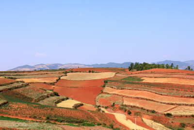 云南 东川红土地 胜似花田