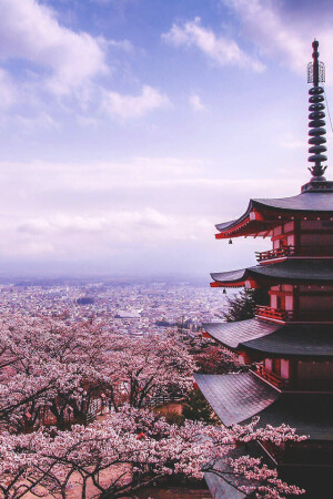 【蔓纪】Chureito Pagoda, Japan | Rungthum Lee