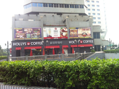 hollys coffee