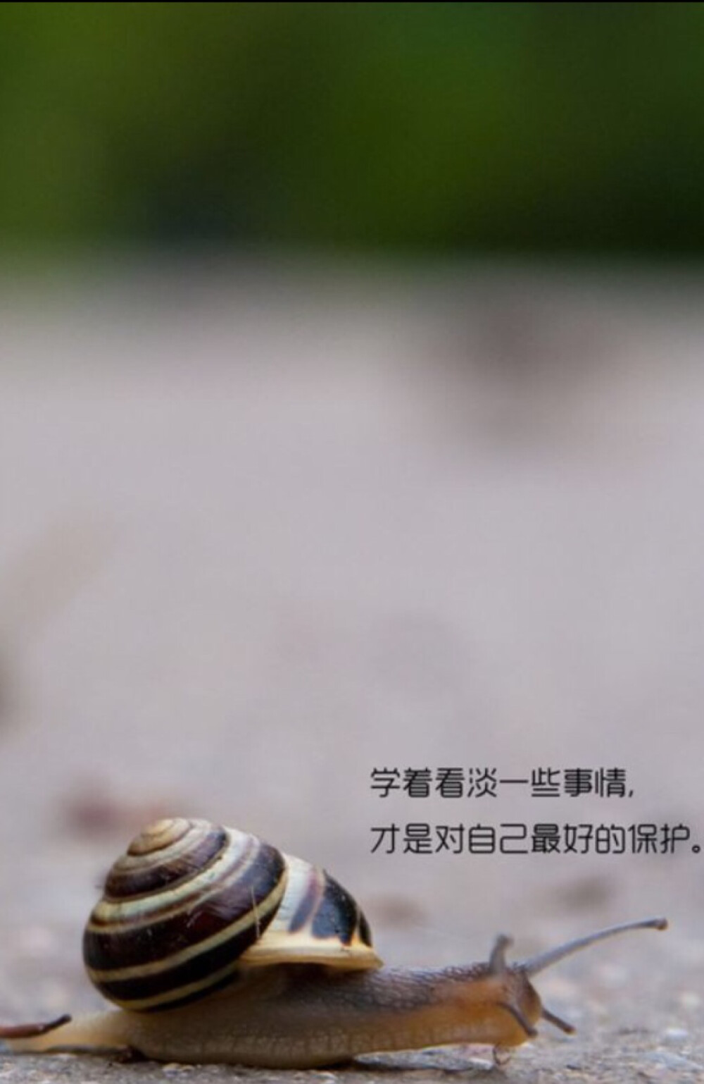 学着看淡一些事情.才是对自己最好的保护.