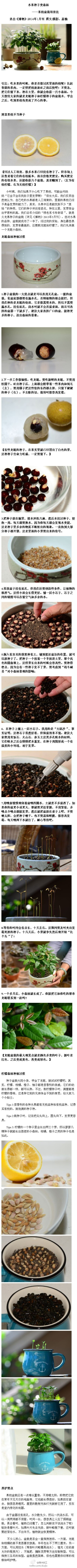 掌中花园】吃完果核不要扔，你能用它收获一片森林。这次教你用龙眼和柠檬的种子种出微型的盆栽！穿暖花开的季节最适合种植物了！小伙伴们快来试一试吧！ PS:谢谢小伙伴昨天在微信中的踊跃交流，下周四还有【对话设计…