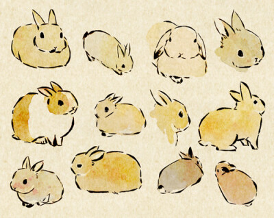 兔子。-----日本画师usao（兎尾@taiga15）的动物插画。