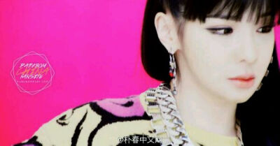 2NE1 朴春 PARK BOM