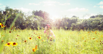 【夏花】SUNNY FLOWERS