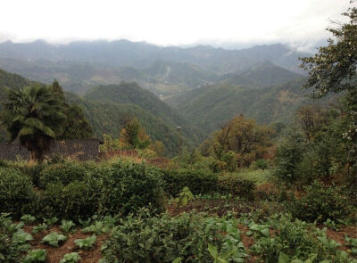 山顶风景的一角，初秋下雨之后