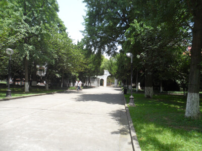 你好，再见。苏大