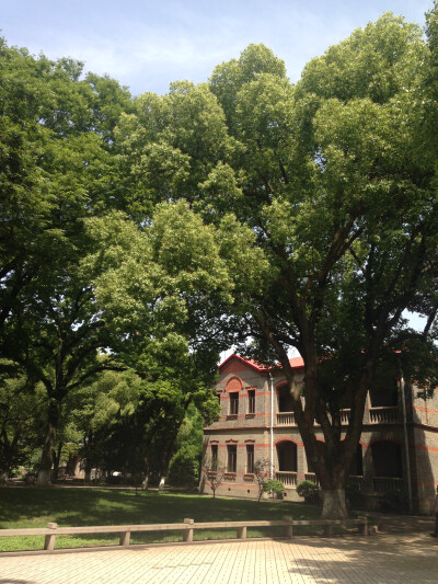 你好，再见。苏大