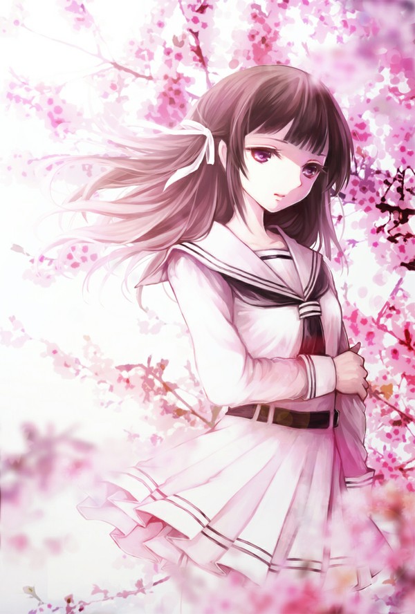 cherry blossom·