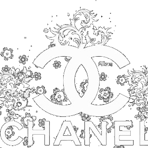香奈兒 名牌 LOGO CHANEL LV GUCCI 透明 水印